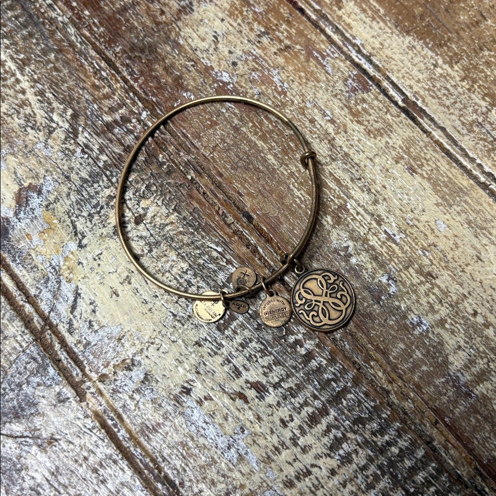 Alex and Ani Gold Charm Bracelet